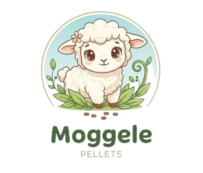 moggele freigestellt (2)