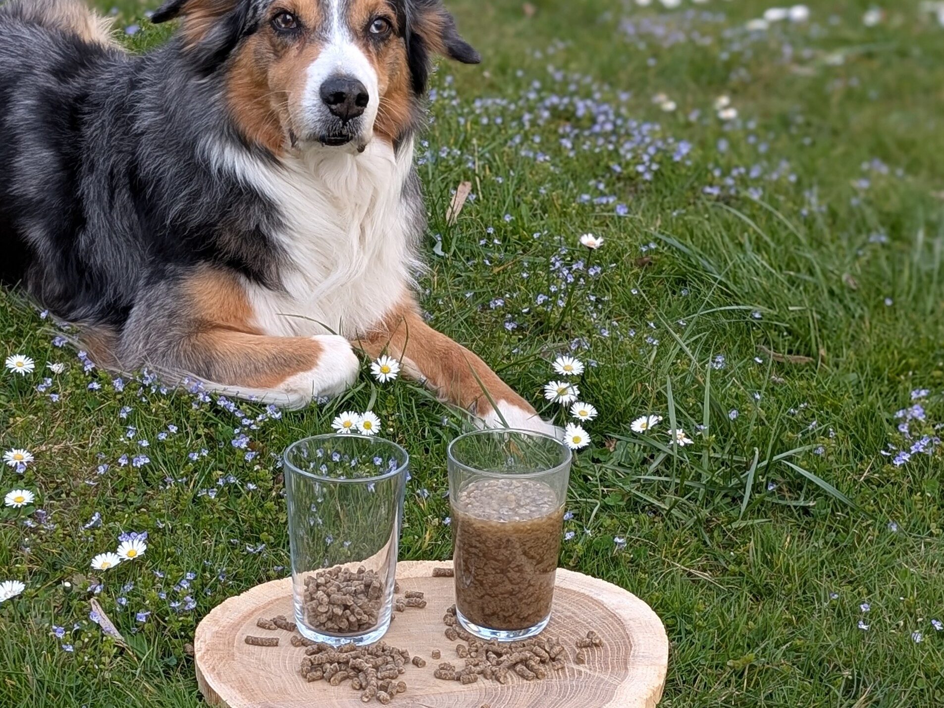 wasserspeicher 2